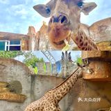 武汉溜娃好去处🔥孩子最爱‼️建议收藏㊙️