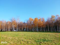 -长春市南湖公园