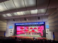 -南风大剧院莎梦二人转剧场