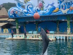 -海南分界洲岛旅游区