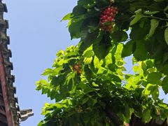 -吃货私房菜(丽江束河古镇店)