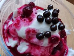 80��工比利时黑巧森林浆果冷萃胶原酸奶-Blueglass酸奶(财富购物中心店)