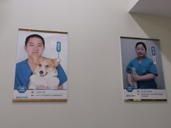 -美联众合动物医院·内科·皮肤科·外科(古城分院)