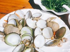 鸡腿螺-蓝湾碧波·老字号·疍家非遗海上餐厅