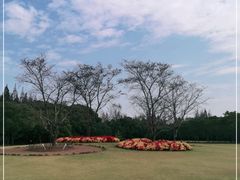 -上海滨江森林公园