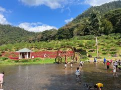 -广州市石门国家森林公园
