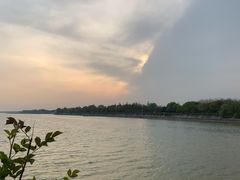 -贡湖湾湿地公园