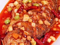 干烧东海大黄鱼-月福京味斋·烤鸭店·北京菜(鼓楼总店)