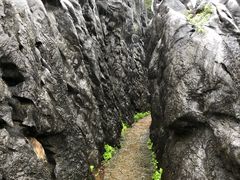-千岛湖石林