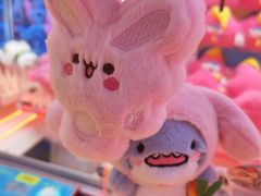 -金茂览秀城