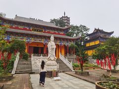 -羊楼洞