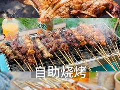 -栖露营camping·天幕烧烤·团建拓展·采摘营地