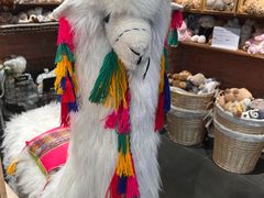 -番茄口袋(上海普陀区环球港店)