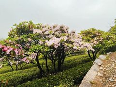-天台山景区