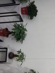 -痘博士天津·全国连锁祛痘机构