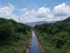 -羚羊峡古栈道森林公园