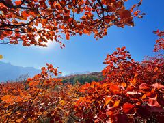 -周口店坡峰岭风景区
