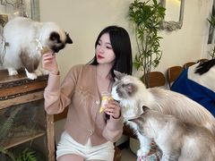 -共舞时光猫咖·狗咖(新街口店)