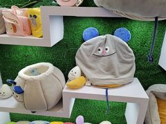 -70cat德文卷毛猫·缅因猫纯种猫舍