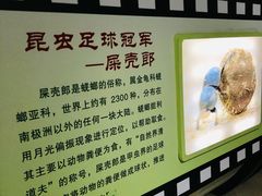 -上海昆虫博物馆