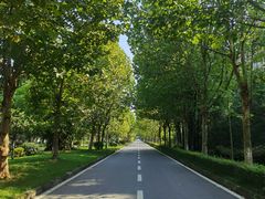 -大渡口区义渡公园