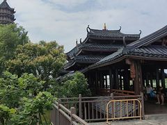 -奉贤海滩