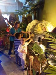 -恐龙探索乐园(磁器口店)