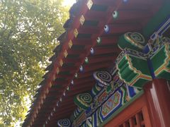 -罔极寺