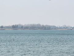 -丁香湖公园