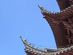 -观潮胜地公园