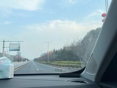 -金沙湖旅游度假区