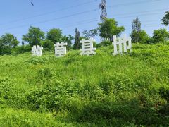 -君乐宝优致牧场