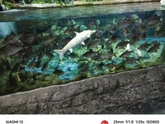-杭州长乔极地海洋公园
