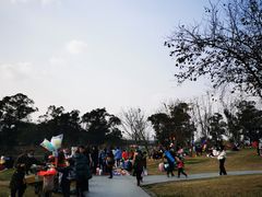 -两河城市森林公园
