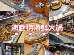 -海底捞大排档火锅(打浦路店)