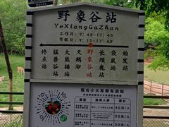-深圳野生动物园