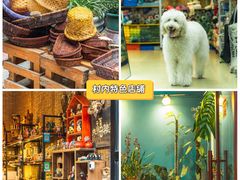 -小洲村