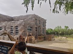 -太原动物园