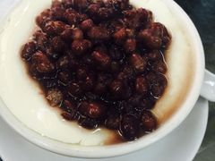 -义顺牛奶公司(新马路老店)