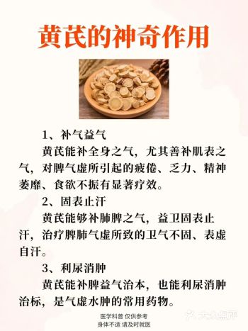黄芪怎么用？看这一篇就够了