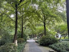 -杭州植物园