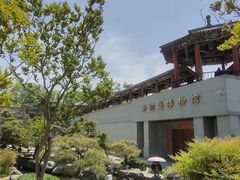 -中国唐苑