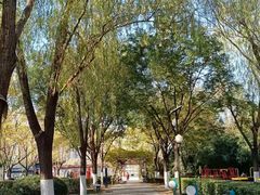 -莲花池公园