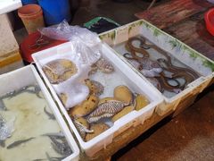 -铜陵人民市场