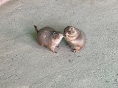 -杭州野生动物世界