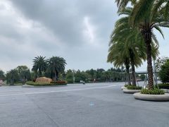 -宝安西湾红树林湿地公园