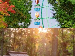 -南京银杏湖乐园