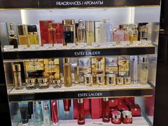 -谢列梅捷沃国际机场