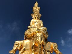 -幸福树餐厅