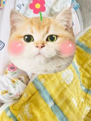 -金芙美月子中心(财富别墅店)